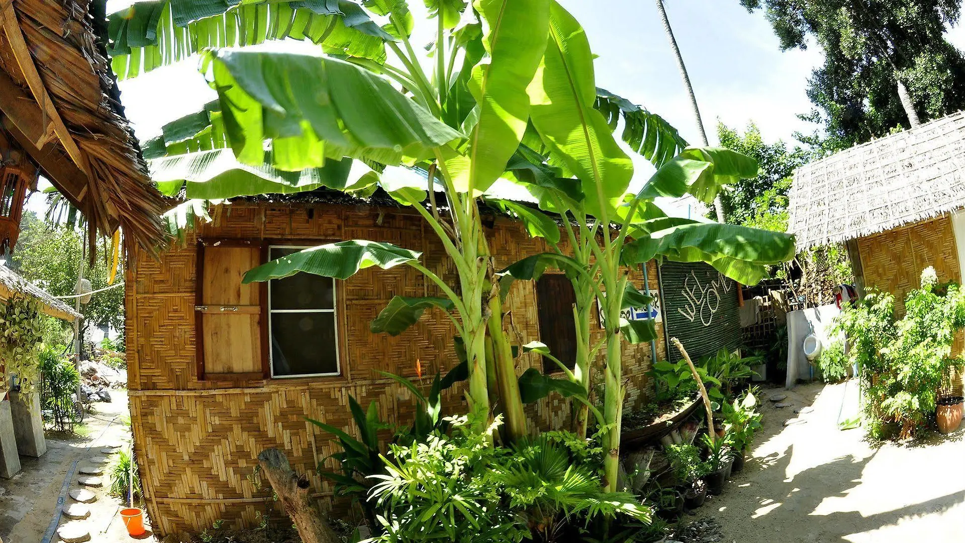 Blanco Dorm Room & Restaurant Ko Phi Phi Thailand